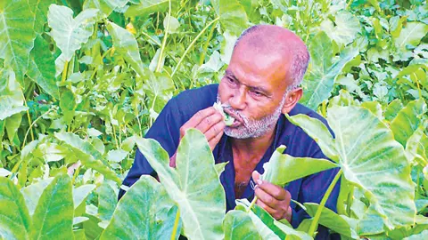 ২৬ বছর ধরে লতাপাতা খেয়েই জীবনযাপন