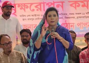 শেখ হাসিনার সেই দায়িত্ব রুমিন ফারহানা কাঁধে নিয়েছেন, অপ্রীতিকর ঘটনা ঘটতে পারে: নাদিয়া পাঠান