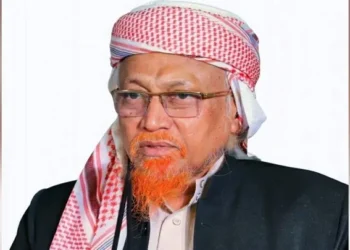 বিএনপি আমার সঙ্গে মুনাফেকি করেছে: জুনায়েদ আল হাবিব