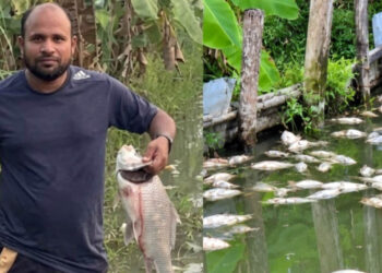 চাঁদা না পেয়ে প্রবাসীর মৎস্য প্রকল্পে ভাঙচুর, পুকুরে বিষ দিয়ে মাছ নিধনের অভিযোগে বিএনপি নেতা গ্রেফতার