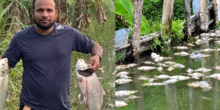 চাঁদা না পেয়ে প্রবাসীর মৎস্য প্রকল্পে ভাঙচুর, পুকুরে বিষ দিয়ে মাছ নিধনের অভিযোগে বিএনপি নেতা গ্রেফতার