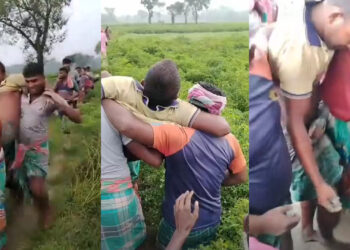 কুষ্টিয়া সীমান্তে বিএসএফের গুলিতে আহত ১, পাল্টা গুলি বিজিবির