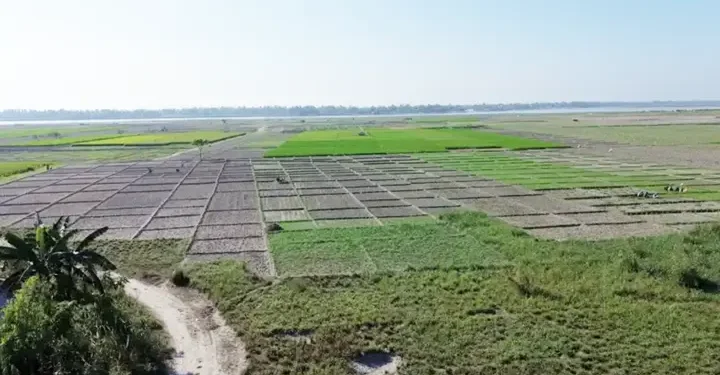 সরকারি গুদামে সার, চরে চরে হাহাকার