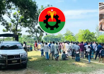 বিএনপি নেতার হঠাৎ মনে হলো, সরকারি পুকুরের মাছগুলো তার