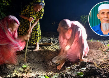 আল্লামা সাঈদীর মামলার বাদীর দাফনে আসেনি কেউ, কবর খুঁড়েন স্ত্রী-মেয়ে-বোন