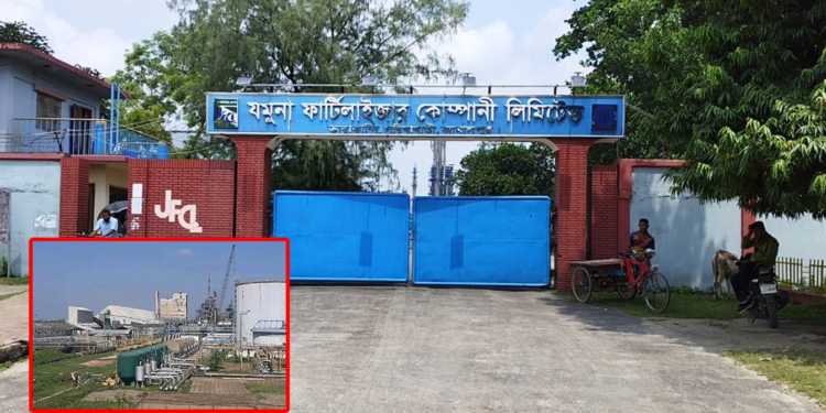 গ্যাস সংকটে আবারো বন্ধ হয়ে গেল যমুনা সার কারখানা