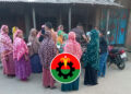 ঠাকুরগাঁও-১ উপনির্বাচন: ভোটের আগের দিন নিয়ম ভেঙে ‘ধানের শীষের’ প্রচার, ভিডিও প্রকাশ্যে